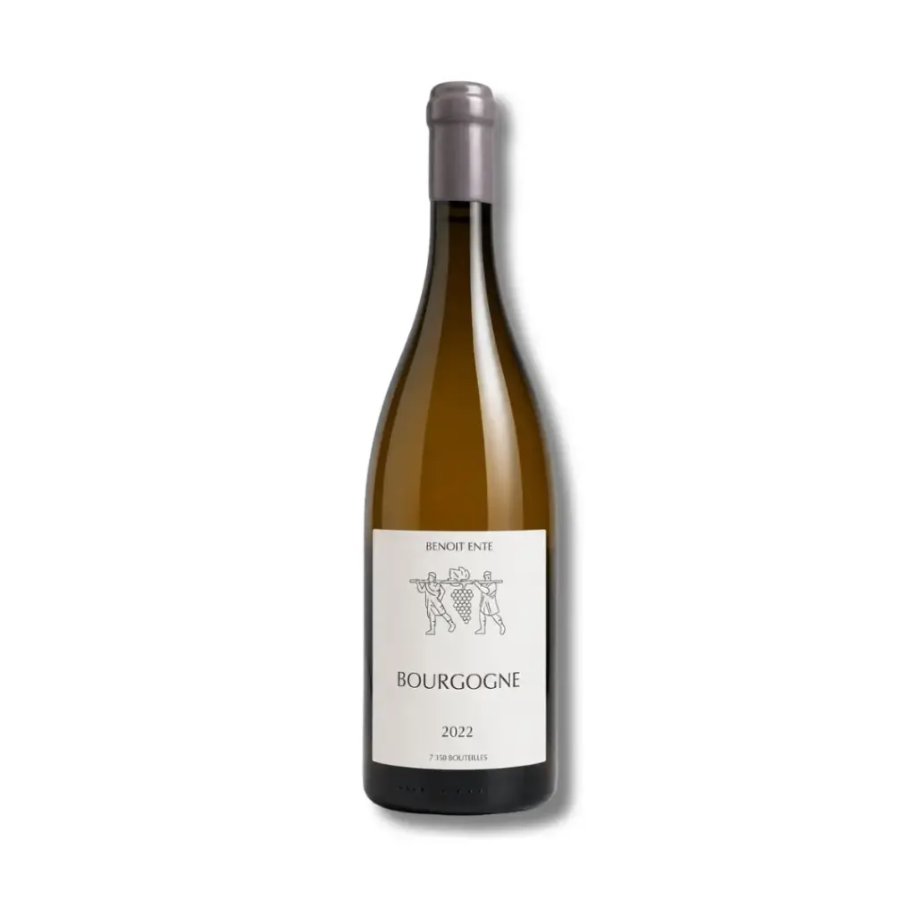 Benoit Ente, Bourgogne