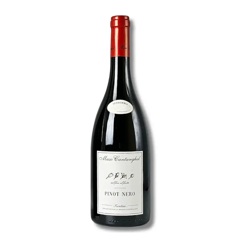 Maso Cantanghel, Pinot Nero Vigna Cantanghel (Bio)