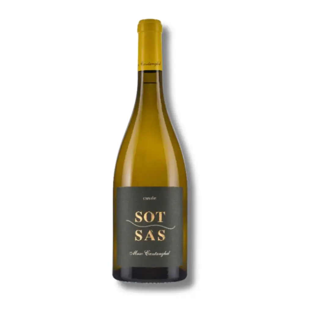 Maso Cantanghel, Sot Sas (Bio)