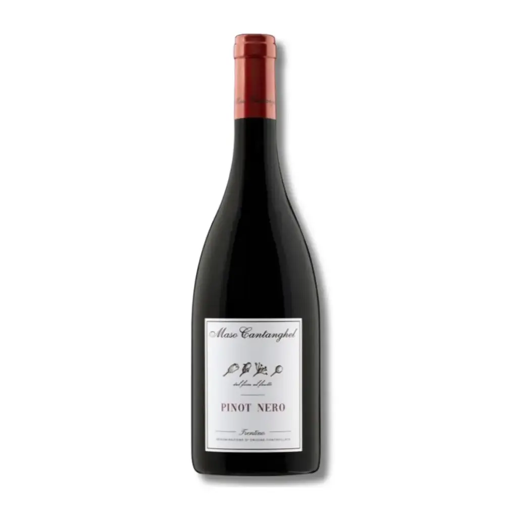 Maso Cantanghel, Pinot Nero (Bio)