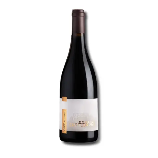 [991194] Gaillard, Parole De Berger