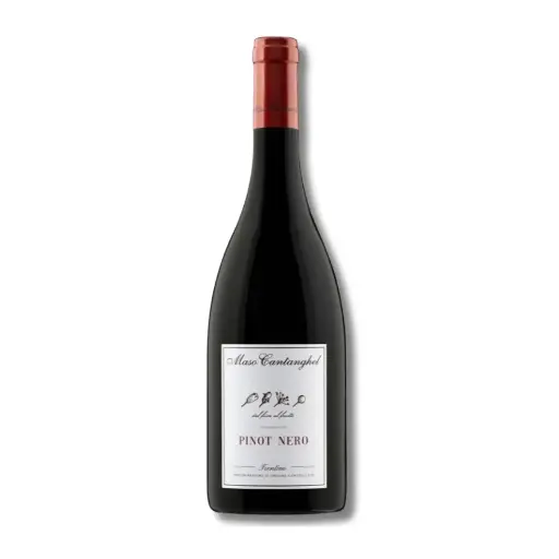 [991611] Maso Cantanghel, Pinot Nero (Bio)