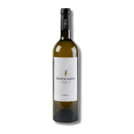 [990842] Richemer, Hippocampe Blanc